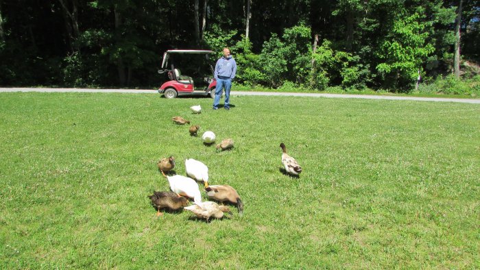 watching the ducks at Rip Van Winkle Campground