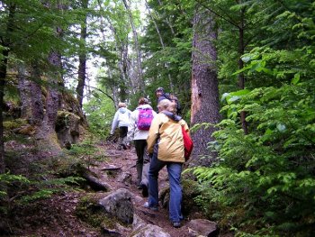 People hiking through the woods at Rip Van Winkle Campgrounds