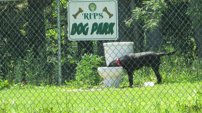 Rip's Dog Park at Rip Van Winkle Campgrounds in Saugerties, NY