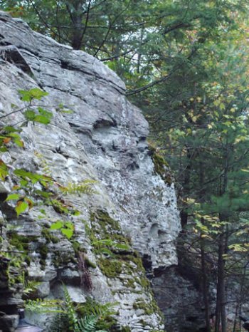 The Ledges Campsite at Rip Van Winkle Campgrounds