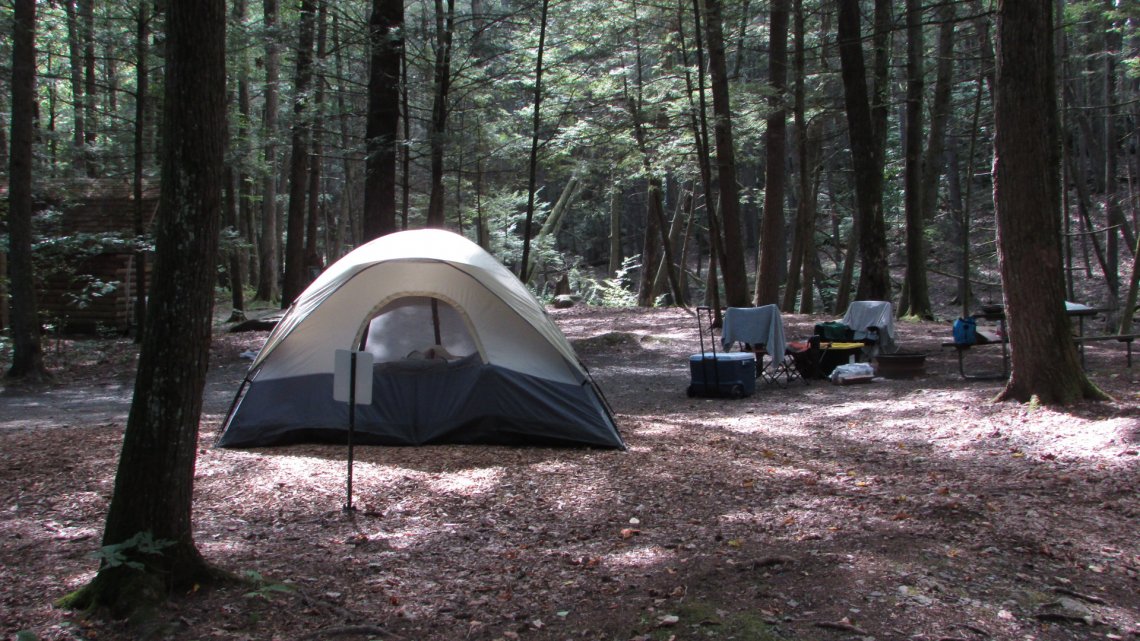 Campsite at Rip Van Winkle Campgrounds