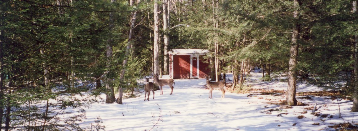 Deer Watching workers