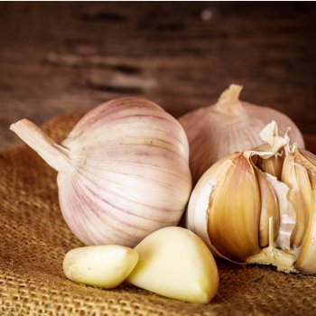 Garlic Bulbs - Hudson Valley Garlic Festival